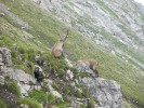 Fernwanderweg-E5_2009-09-15_Kalle_079.jpg