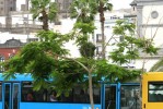 GranCanaria2009-07-17_Tom_017.jpg