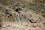 GranCanaria2009-07-18_Tom_078.jpg