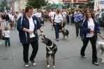 Volksfest2010-07-23_Daniel_045.jpg