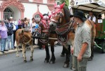 Volksfest2010-07-23_Daniel_064.jpg