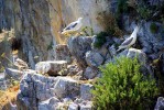 Sizilienurlaub_2011-06-30_Nino_Sipontina_DT_114.jpg