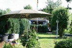 JessysGartenparty2011-07-09_Simone_034.jpg