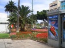 Gran Canaria 2 007.JPG