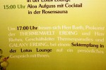 Mister-Bayern_Miss-Bayern-Sued_Erding_2008-12-07_Tom_003.jpg