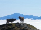 Fernwanderweg-E5_2009-09-15_Kalle_136.jpg