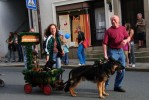 WiesenfestSchwarzenbach2009-07-17_Manu_082.jpg