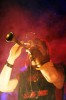 Corvus_Corax_13_11_06_Nbg_007.jpg