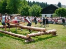 Goesmes_Spiele_08_06_08_Heiko_0277.jpg