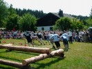 Goesmes_Spiele_08_06_08_Heiko_0291.jpg